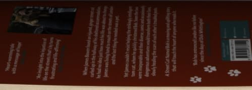 A Street Cat Named Bob: How one man and his cat found hope on the streets