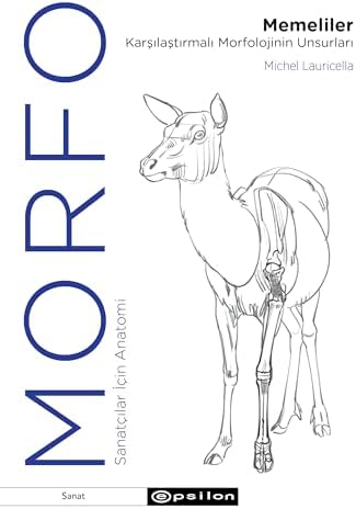 Morfo - Memeliler Karşılaştırmalı Morfolojinin Unsurları