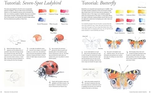 Watercolour the Natural World