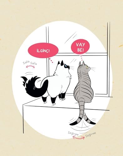 Kedi Dili - Kedinizi Anlayabilmeniz için Resimli Bir Rehber - Lili Chin - Kartpostal - Aşı ve İlaç Kartı - Ayraç