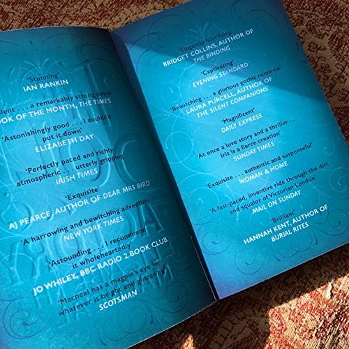 The Doll Factory: The spellbinding gothic page turner of desire and obsession - Görsel 2