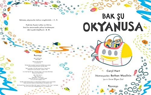 Alternative view of Bak Şu Okyanusa