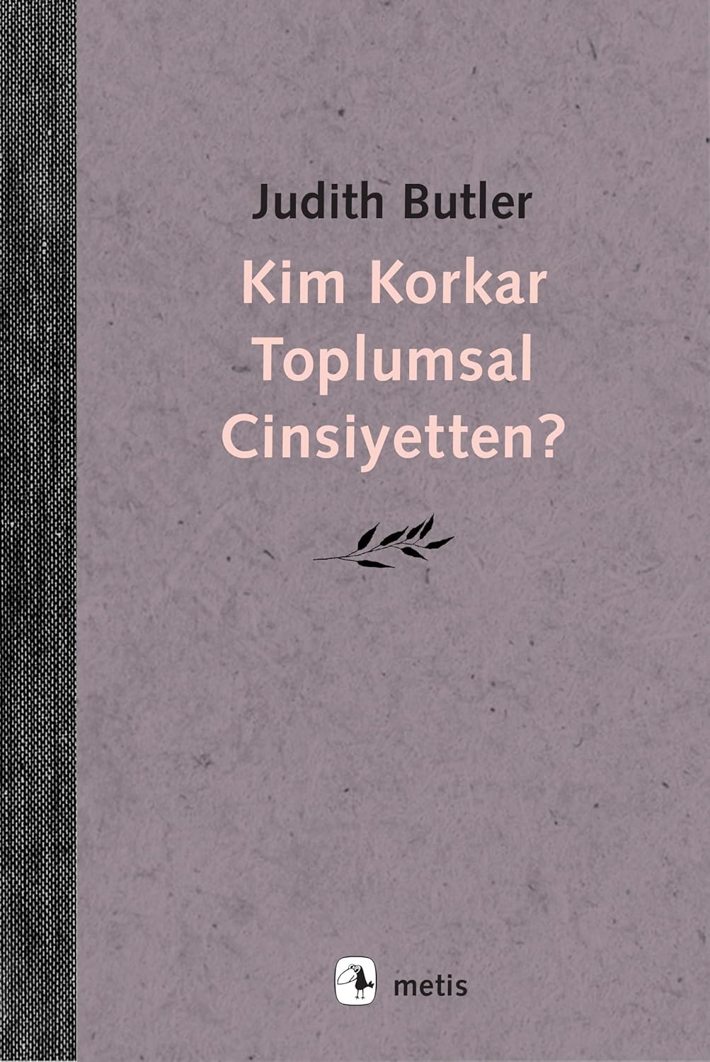 Kim Korkar Toplumsal Cinsiyetten?
